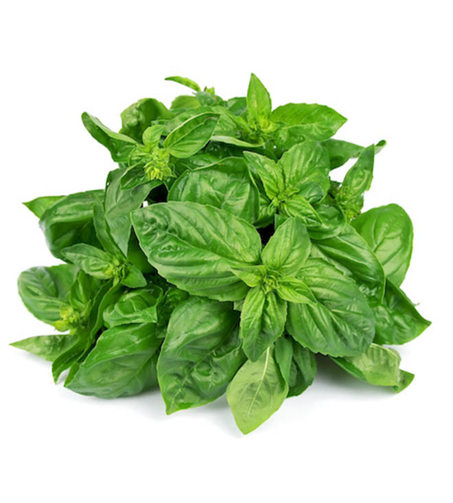 Deliver Addis Market Basil